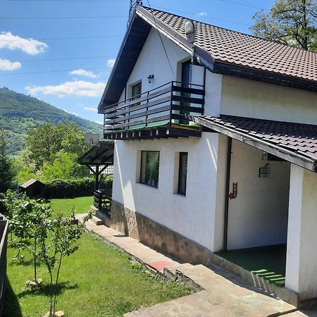 Vila Roxana Pangarati Εξωτερικό φωτογραφία
