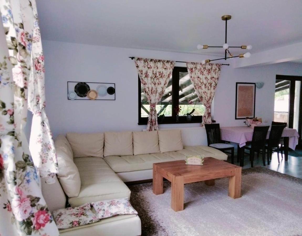 Vila Roxana Pangarati Εξωτερικό φωτογραφία