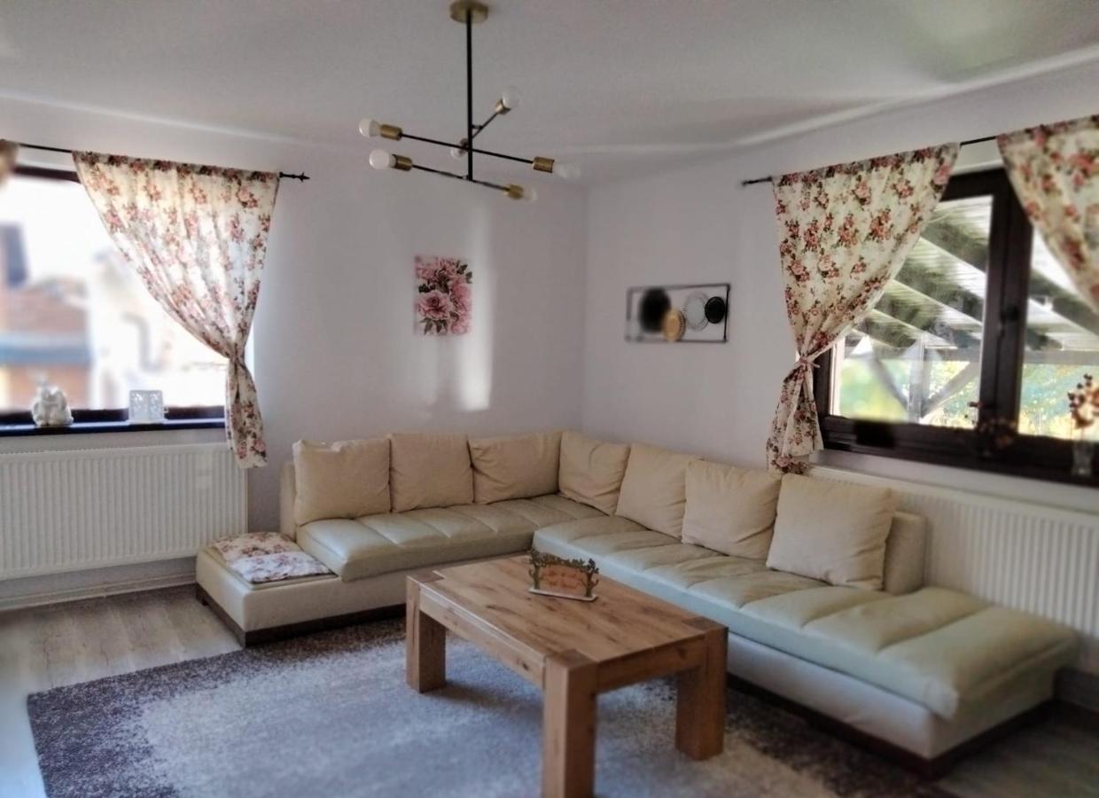 Vila Roxana Pangarati Εξωτερικό φωτογραφία