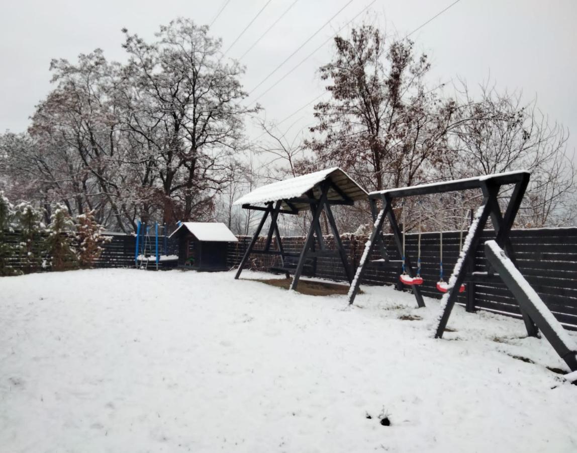 Vila Roxana Pangarati Εξωτερικό φωτογραφία