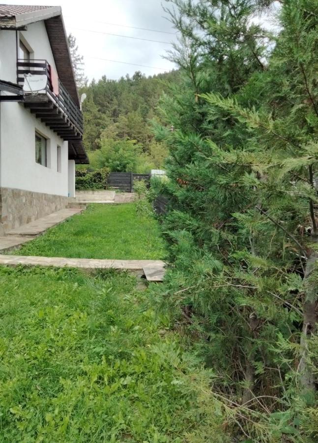 Vila Roxana Pangarati Εξωτερικό φωτογραφία